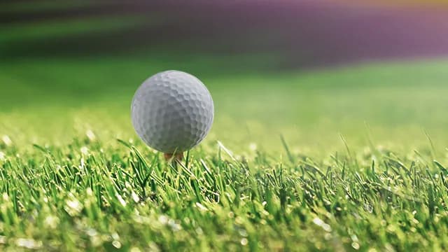 DPWTC - Sunday - General Admission Ticket