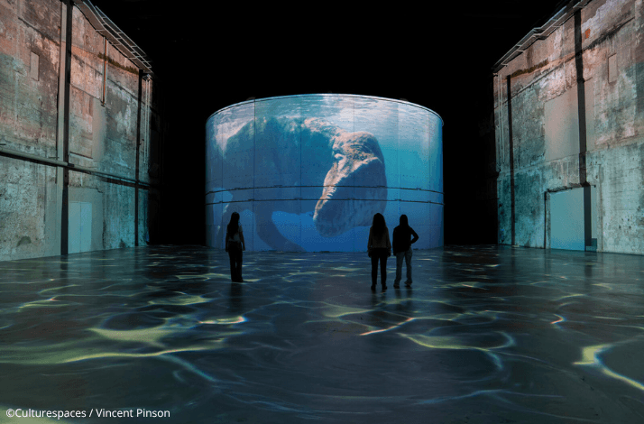 Explore an immersive dinosaur exhibition in Bordeaux, with VIP access