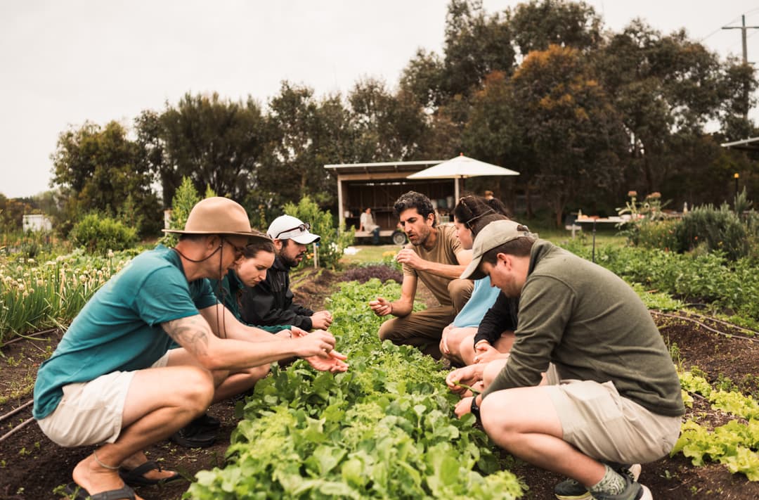 Uncover the wild gastronomy of Australia's Mornington Peninsula
