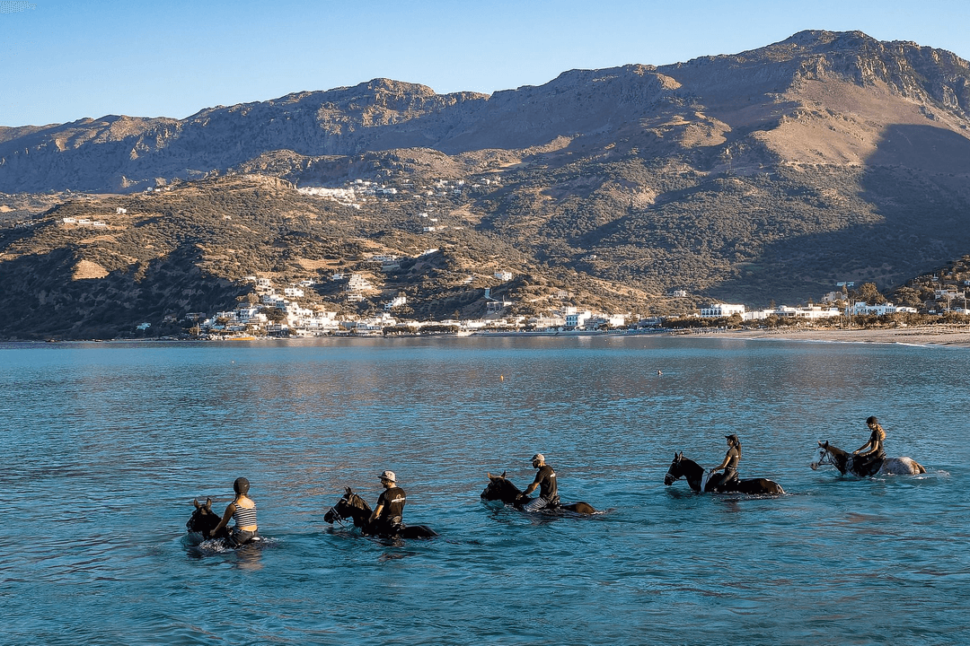Swim with horses and dine in a taverna on Hydra