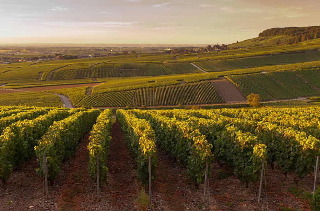 Perrier-Jouët Champagne Experience + Stay — 2 Tickets (Pkg 1)