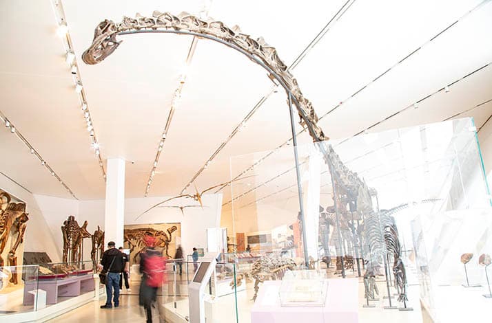 Discover ROM treasures on a private tour with a gift