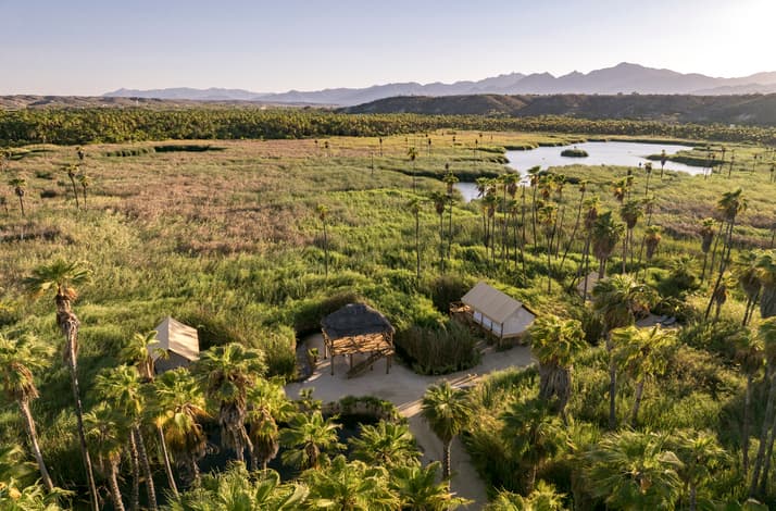 Explore the heart of Mexico's Sierra de la Laguna biosphere