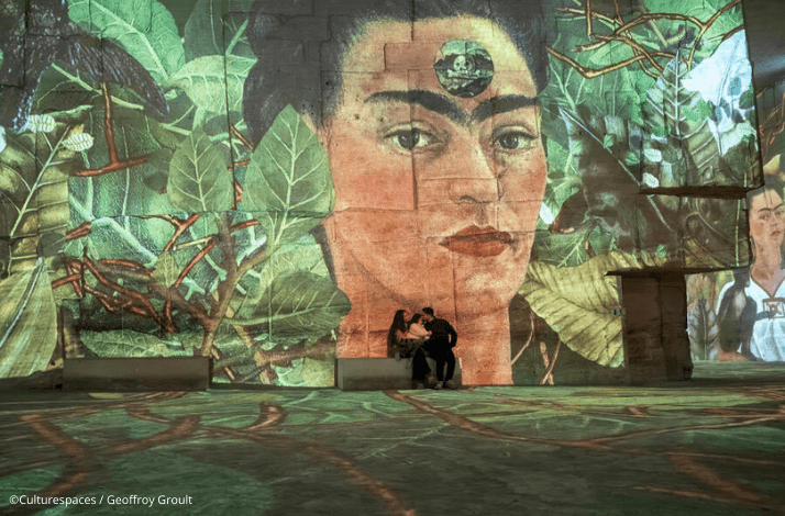 Elevate Your Senses at Bordeaux's Immersive Art Experience