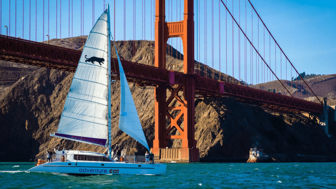 San Francisco Catamaran Cruise for One