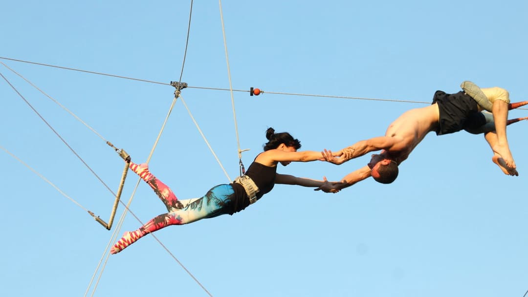 Trapeze Lesson for One