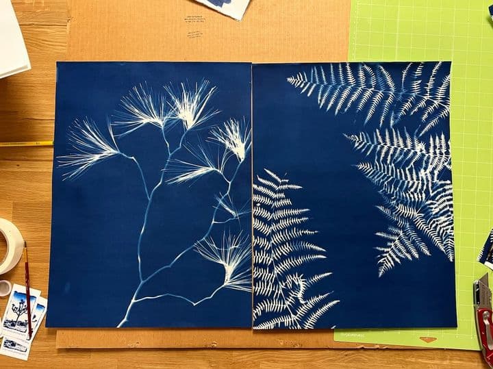 Make Sun prints in the Desert