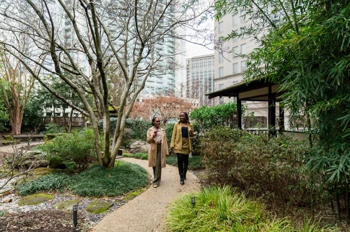 Enjoy our Japanese Zen Garden