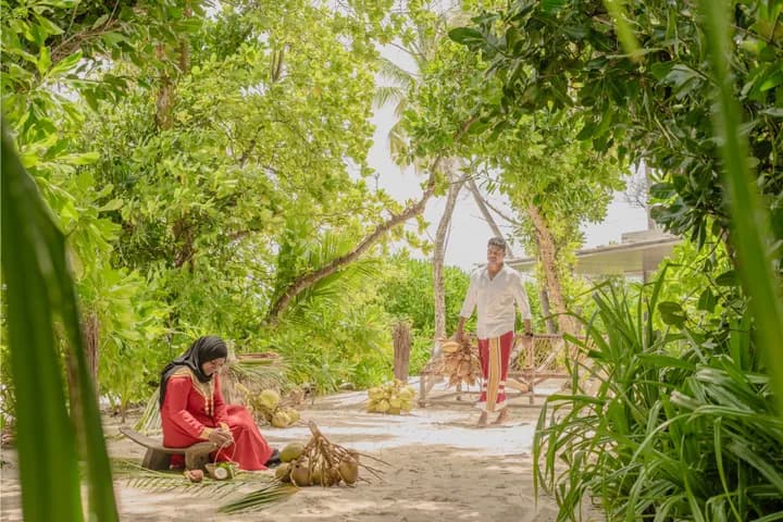 Coconut Reverence—A Cultural & Craft Ritual of the Maldives