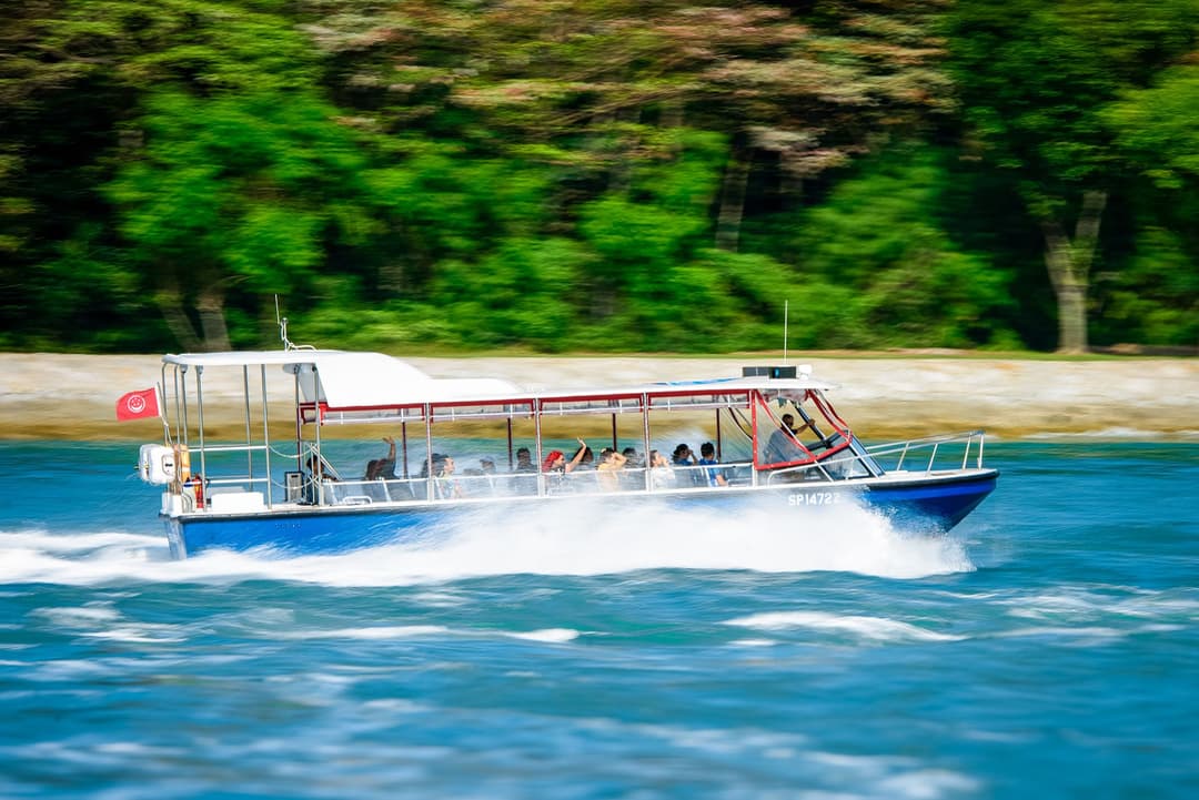 Albatross Hop-On Hop-Off Speedboat Adventure With Lunch