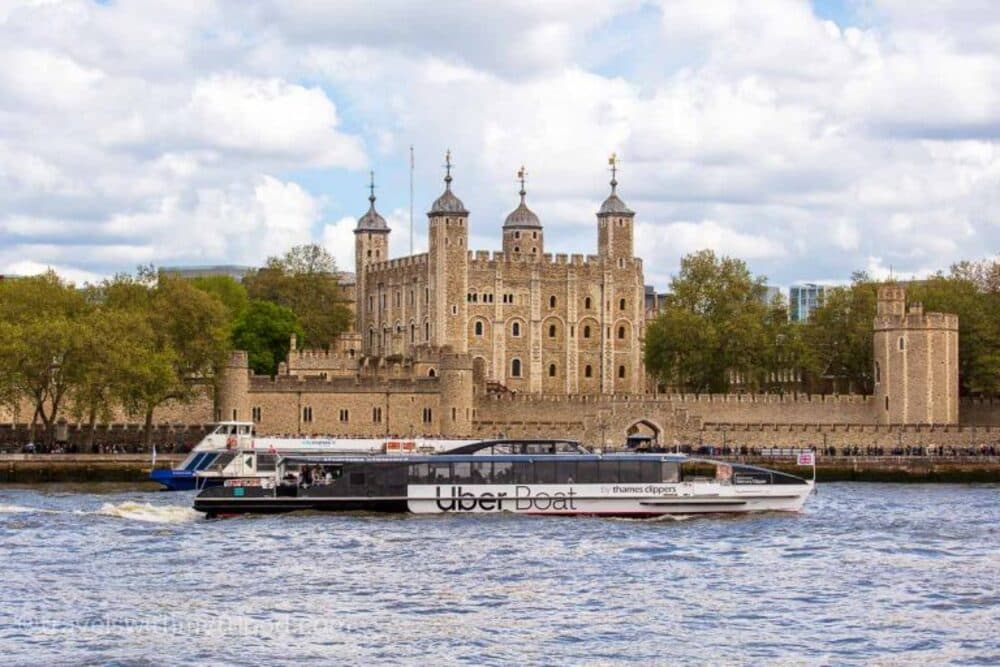 Sightseeing River Cruise Down the Thames
