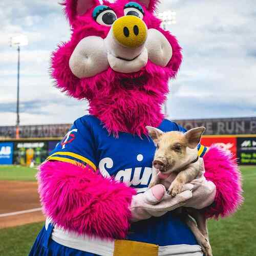 St. Paul Saints vs Louisville Bats