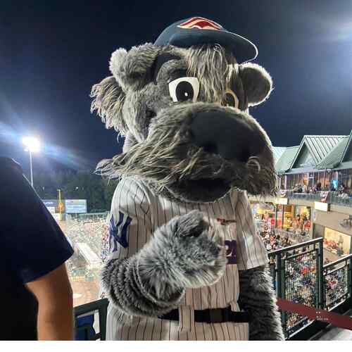 Somerset Patriots vs Akron RubberDucks