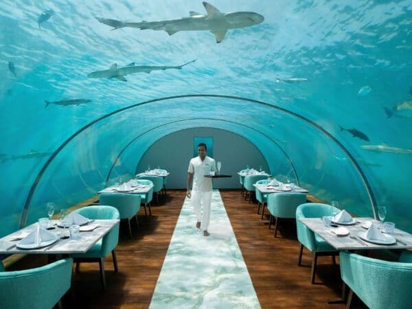 Cocktails Under the Sea at Conrad Maldives Rangali Island