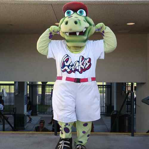 Rancho Cucamonga Quakes vs Ontario